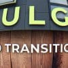 Bulge Transitions for Premiere & After Effects